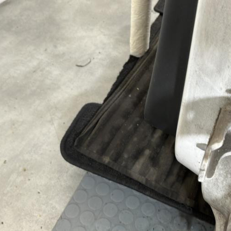 Porte arriere gauche CITROEN C3 2 Photo n°6