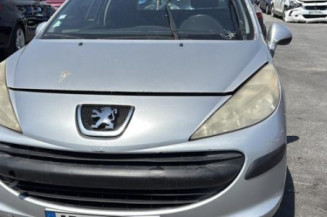 Cremaillere assistee PEUGEOT 207