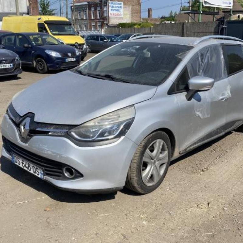 Porte arriere droit RENAULT CLIO 4 Photo n°10