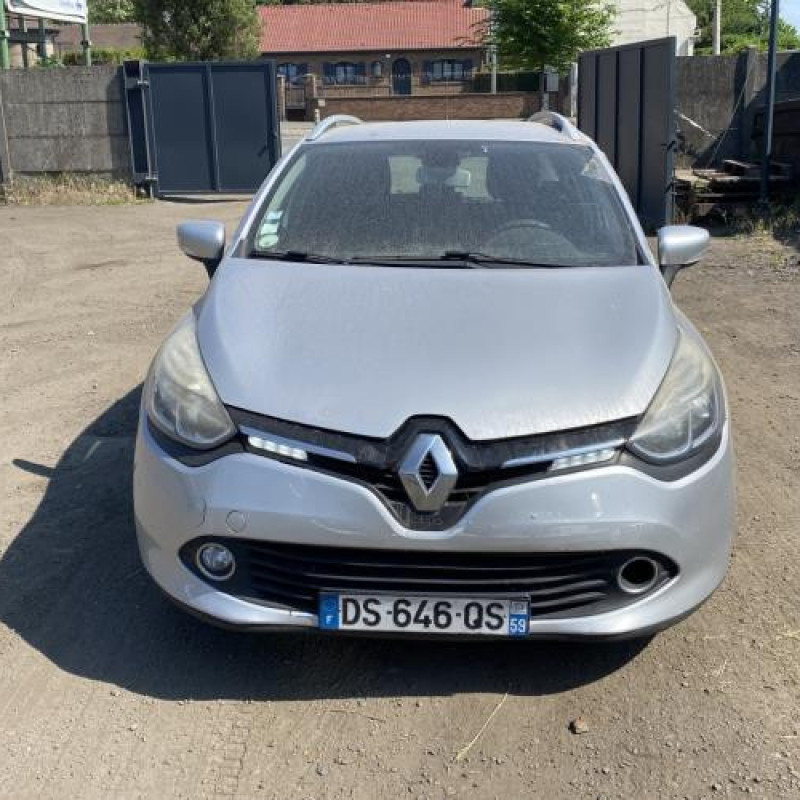 Porte arriere droit RENAULT CLIO 4 Photo n°14