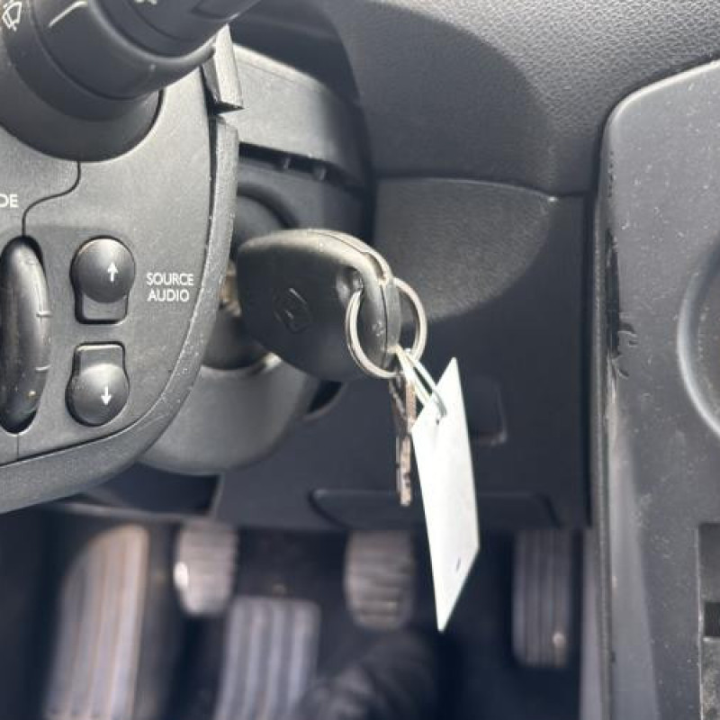 Calandre RENAULT CLIO 3 Photo n°19