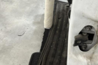 Porte avant gauche CITROEN C3 2