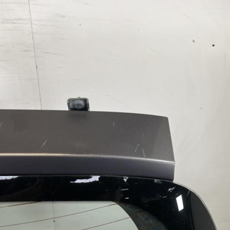 Malle/Hayon arriere RENAULT CLIO 3 Photo n°4