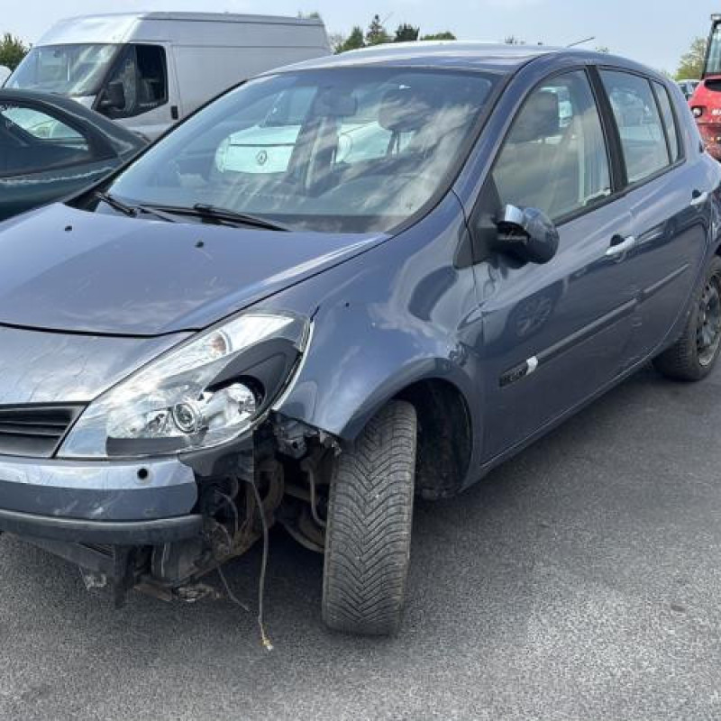 Malle/Hayon arriere RENAULT CLIO 3 Photo n°15