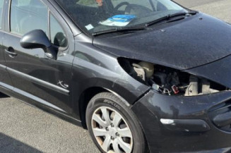 Porte arriere droit PEUGEOT 207