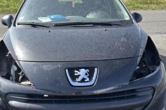 Porte avant gauche PEUGEOT 207