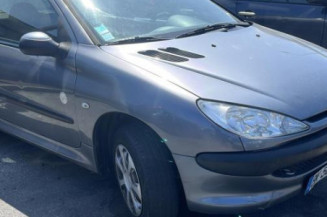 Baguette de porte avant gauche PEUGEOT 206