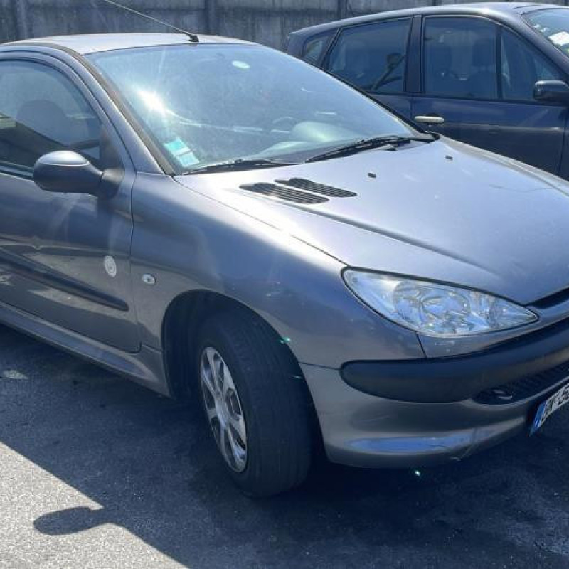 Baguette de porte avant gauche PEUGEOT 206 Photo n°8