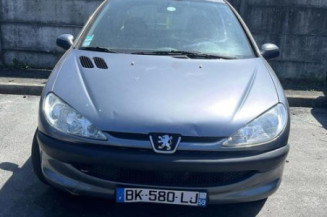 Baguette de porte avant gauche PEUGEOT 206