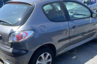 Baguette de porte avant gauche PEUGEOT 206
