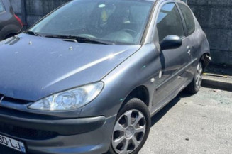 Baguette de porte avant gauche PEUGEOT 206