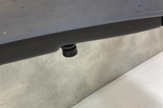 Porte arriere droit RENAULT CLIO 3
