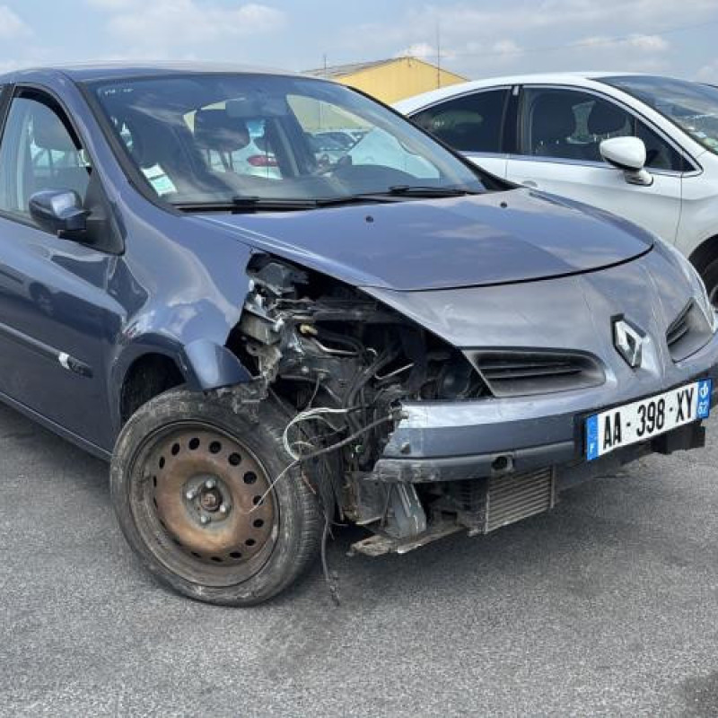 Porte arriere droit RENAULT CLIO 3 Photo n°7