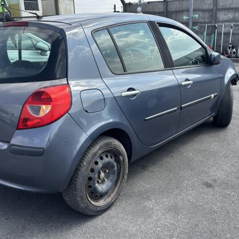 Porte arriere droit RENAULT CLIO 3 Photo n°8