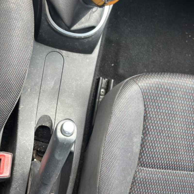 Porte arriere droit RENAULT CLIO 3 Photo n°20