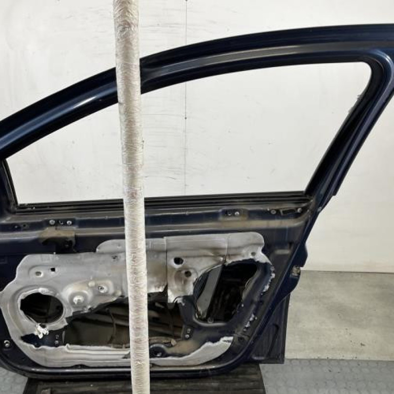 Porte avant droit RENAULT CLIO 3 Photo n°6
