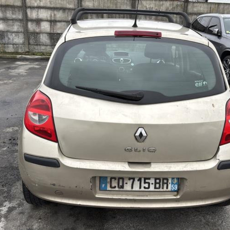 Malle/Hayon arriere RENAULT CLIO 3 Photo n°18