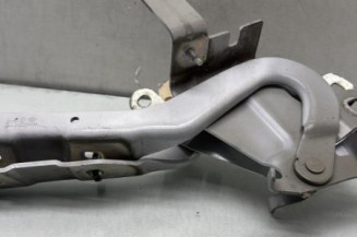 Charniere de capot RENAULT CLIO 4