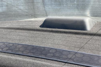 Poignee porte avant gauche RENAULT FLUENCE