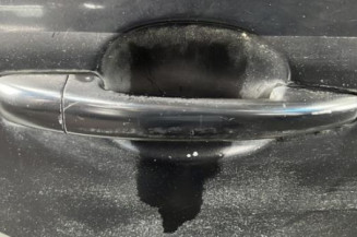 Porte arriere droit PEUGEOT 207
