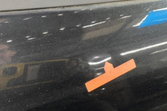 Porte arriere droit PEUGEOT 207
