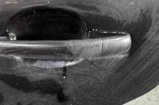 Porte arriere gauche PEUGEOT 207
