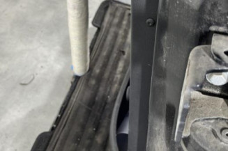 Porte arriere gauche PEUGEOT 207