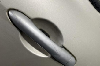 Porte arriere gauche RENAULT CLIO 3