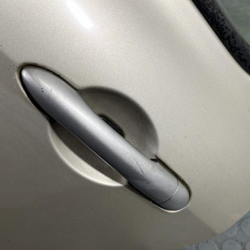 Porte arriere gauche RENAULT CLIO 3 Photo n°2