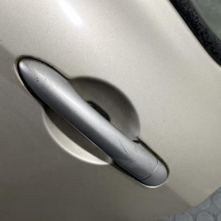 Porte arriere gauche RENAULT CLIO 3