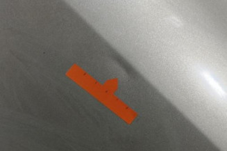 Porte arriere gauche RENAULT CLIO 3