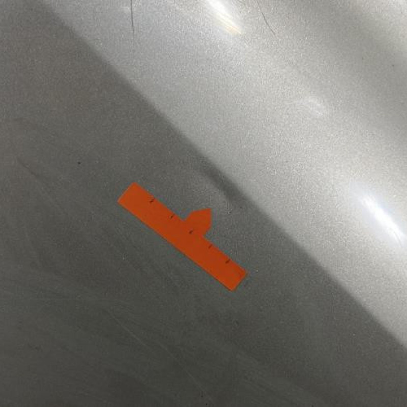 Porte arriere gauche RENAULT CLIO 3 Photo n°3