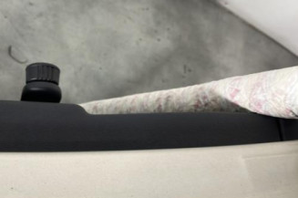 Porte arriere gauche RENAULT CLIO 3