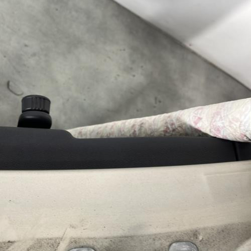 Porte arriere gauche RENAULT CLIO 3 Photo n°4