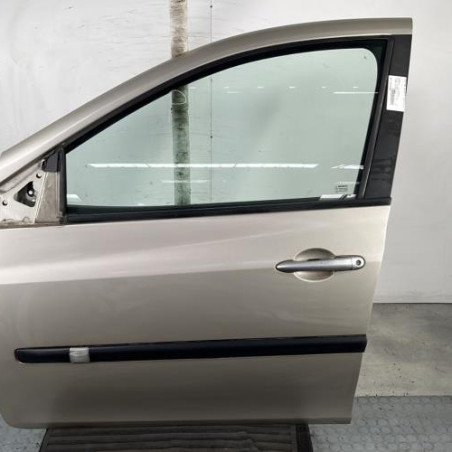 Porte avant gauche RENAULT CLIO 3 Photo n°1