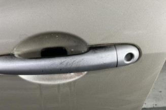 Porte avant gauche RENAULT CLIO 3