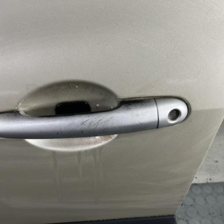 Porte avant gauche RENAULT CLIO 3