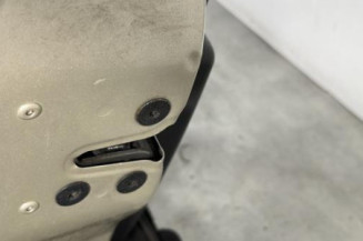 Porte avant gauche RENAULT CLIO 3