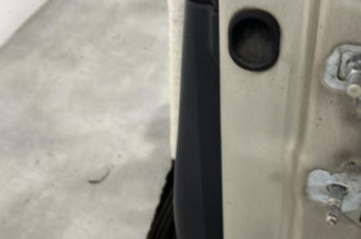 Porte avant gauche RENAULT CLIO 3