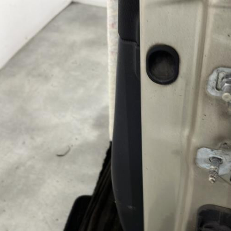 Porte avant gauche RENAULT CLIO 3 Photo n°4