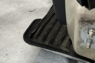 Porte avant gauche RENAULT CLIO 3