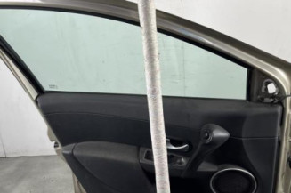 Porte avant gauche RENAULT CLIO 3