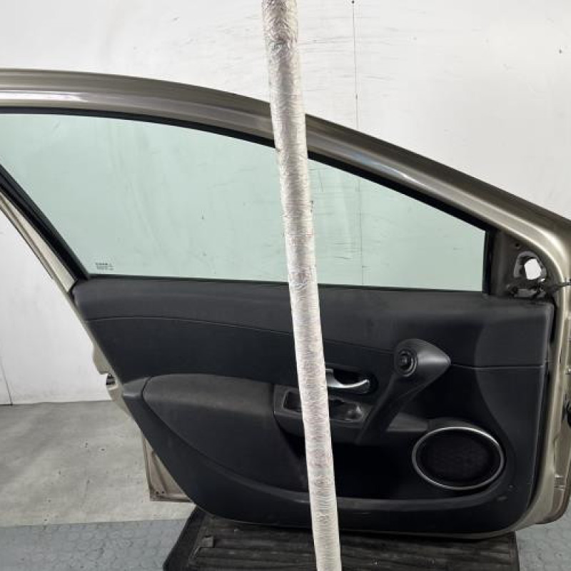 Porte avant gauche RENAULT CLIO 3 Photo n°7