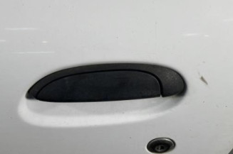 Porte avant gauche RENAULT CLIO 2