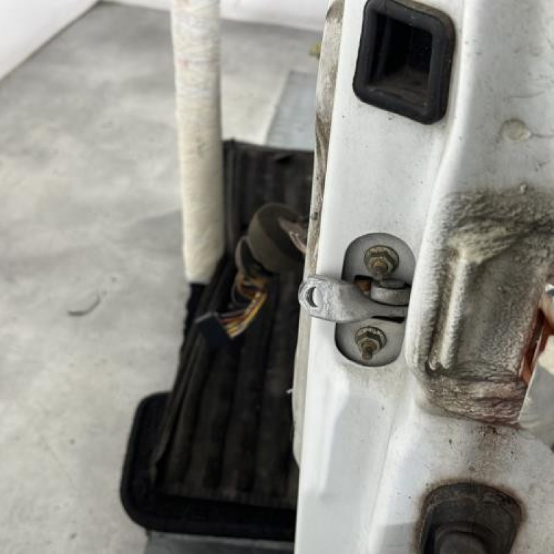 Porte avant gauche RENAULT CLIO 2 Photo n°4