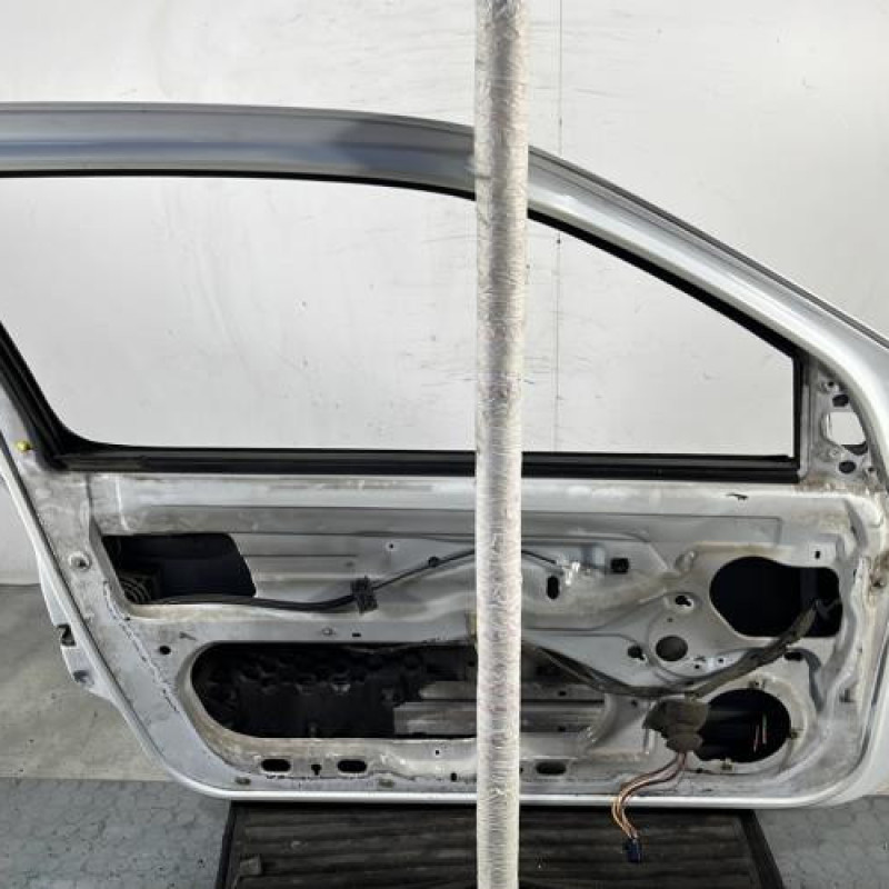 Porte avant gauche RENAULT CLIO 2 Photo n°6