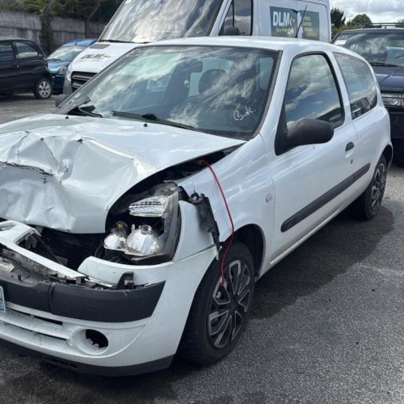 Porte avant gauche RENAULT CLIO 2 Photo n°7