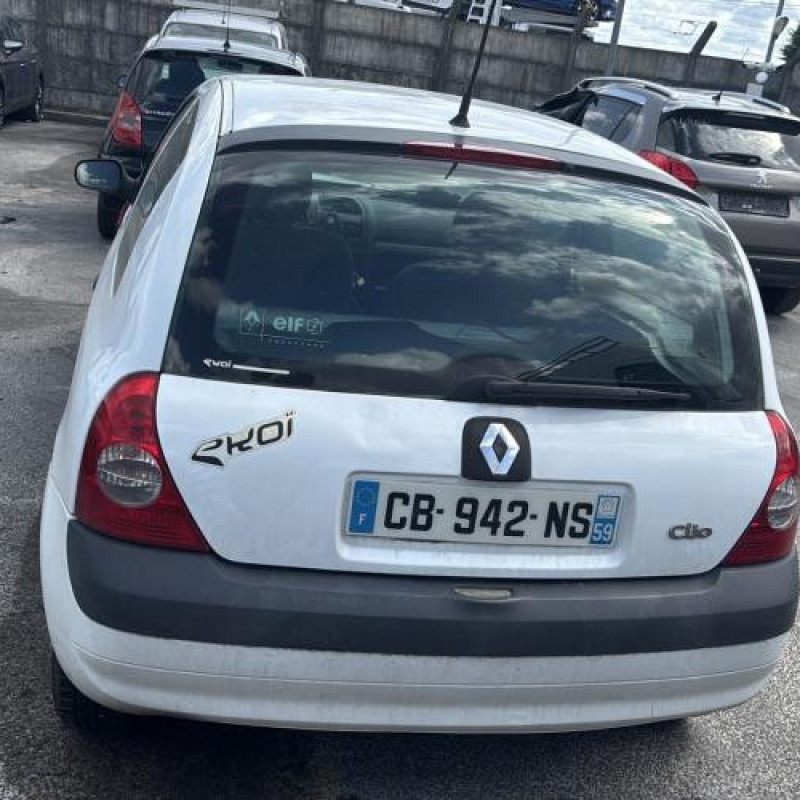 Porte avant gauche RENAULT CLIO 2 Photo n°11