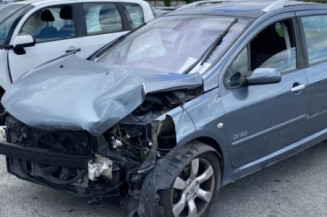 Vitre arriere gauche PEUGEOT 307