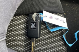 Vitre arriere gauche PEUGEOT 307